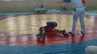 Открытое первенство Добровского муниципального округа Липецкой области по САМБО