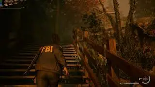 Alan Wake 2 RTX 3070 Direct Lighting 1440p DLSS Quality (DF Optimized Settings)