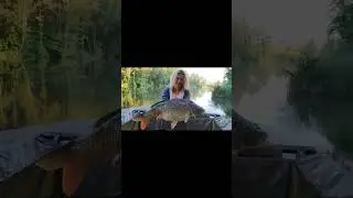Черговий трофей на водоймі Адреналін! #трофей #рибалка #carpfishing #природа