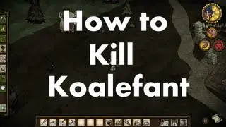 Don't Starve: How to Kill Koalefant