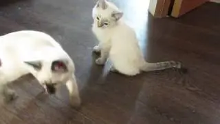 все сметено могучим ураганом ))))