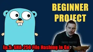 Golang Beginner Project #5 - sha256 hashing