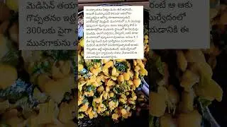 మునగ ఆకుతో 300 వ్యాధులకు దూరం #viralvideo