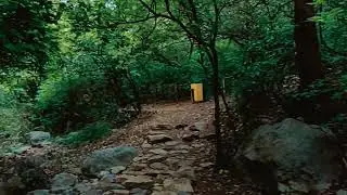 Trying Out Some Viral Editing Template 