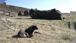 Баренцево море,остров Кильдин.Чупинская губа Белое море.