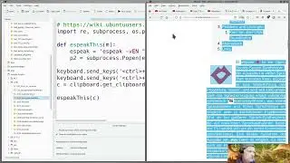 Python: Speak a Website