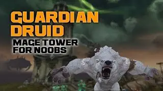Guardian Druid Mage Tower for Noobs