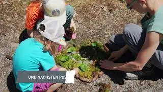 Wildnis-Trail Kandersteg