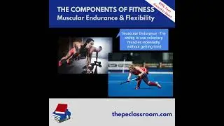 BTEC The Components of Fitness Muscular Endurance & Flexibility