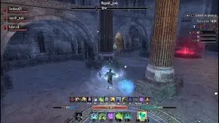 Teso| Battleground no cp StamWarden