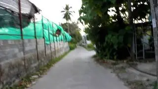 The Walk to Mamma's Restaurant Phuket Thailand on Soi Tad-ied