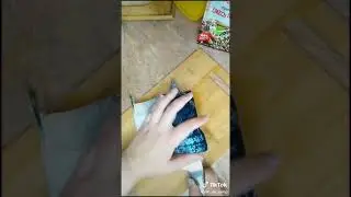 18 августа 2020 г.