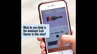 Good Pair Days - Take the Taste Test Challenge