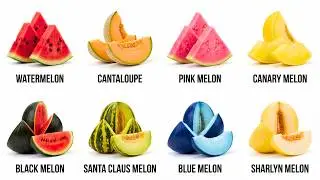 Every Type of Melon Explained In 9 Minutes