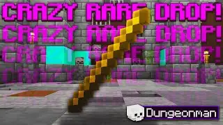 THE RAREST IMPORTANT DROP! (Hypixel Skyblock Dungeonman #13)