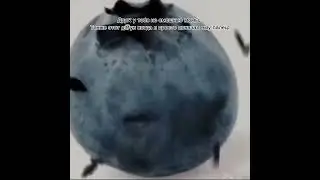 мемчик 