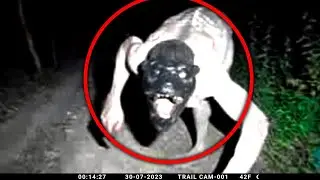 Very Creepy Moment Caught On Trail Cam