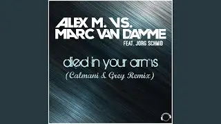 Died in Your Arms (Calmani & Grey Remix)