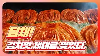 [영상광고] 2023년형 오리지널 딤채(15초-A)