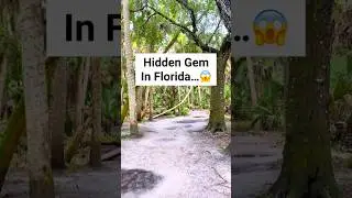 📍Myakka River State Park 😍 #florida #hiddengems #statepark #floridastateparks #visitflorida #travel