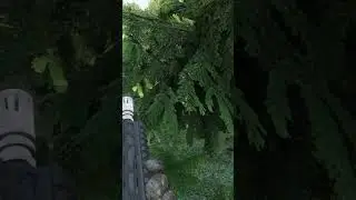 When You Walk onto a Huge Stash in DayZ