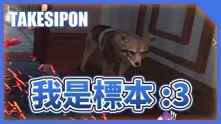 TK DBD l Dead by daylight l 黎明死線 ➤當月月標本遇到櫃族世家，好啊！大家一起當展示品，都不要動啊！