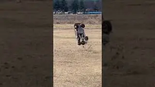 1/5 Rc car Stunt 💯