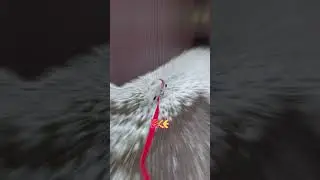 Весна красна 😅🙈