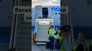 Веселый женский экипаж