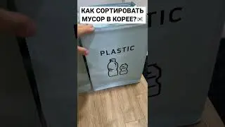 Сортировка мусора в Корее. Как сортировать мусор?