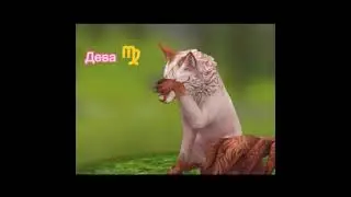 ~Гороскоп На Mystic Wildcraft~