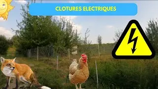 Clotures Electriques pour Volailles - Anti Renards parfait?