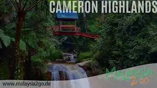 Cameron Highlands in Malaysia