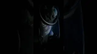С Днем Космонавтики! 🚀 #12апреля #cats