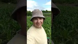 Девчёнки как вам моя кукуруза? 🌽🌽🌽🌽🌽