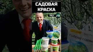 садовая краска или побелка