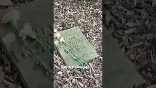 С праздником 🌹