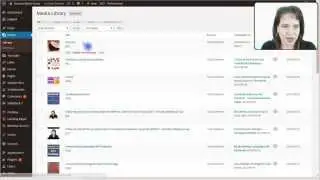 WordPress Delete an Image from the Media Library