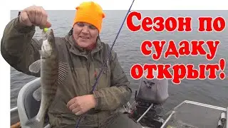 Ловля Судака на Джиг ▶ Fishing 2023 | #Vovabeer