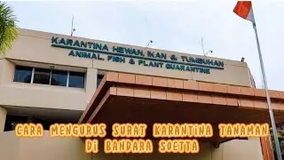 CARA BUAT SURAT KARANTINA TUMBUHAN DI BANDARA SOETTA