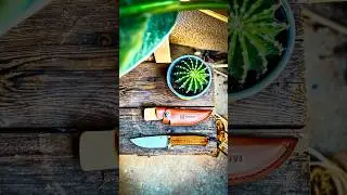 Unboxing CIVIVI Cloud Peak Fixed Blade @CiviviKnife