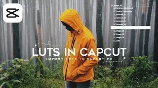How To import and Use LUTs On CapCut PC || New Lut