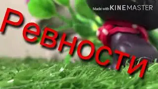LPS Music Video ~Мы так любим дешёвые драмы ~