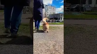 Ещё пара понедельников и лето. Календарное.