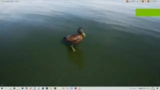 Вёртекс анимация - демонстрация/Vertex Animation - demonstration. Уточки для Waterborne Tycoon.