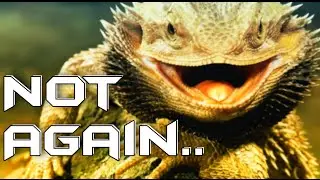 Bye Bye PS4 and XBOX 1.. Lizard Squad Plans to Strike Again!