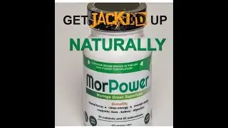 Morpower Product Overview