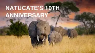 Natucate's 10th anniversary🎉🌿