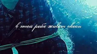 в этой рыбе живёт океан • Инженер/Катамаранов • Внутри Лапенко