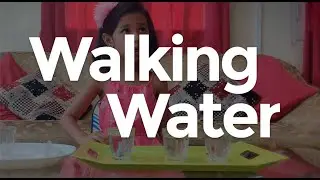 Walking Water Experiment By Amaira